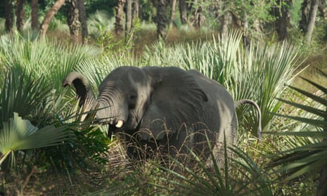 The women rebuilding Mozambique's national park