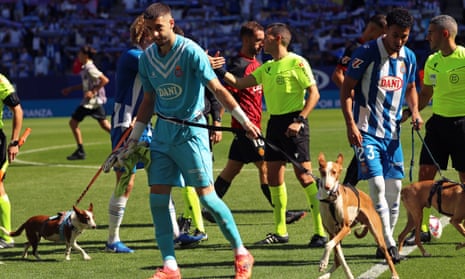 Espanyol players line up before game with rescue dogs instead of mascots 