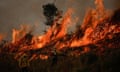 Members of a fire brigade work to extinguish a fire rising in Amazon rainforest in Brazil, on 8 August 2024.