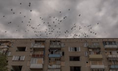 Pigeons flying over a residential building damaged by shelling in the town of Kurakhove, located near the front line, in the Pokrovsk district of the eastern Donetsk region