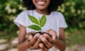 Girl planting a small tree